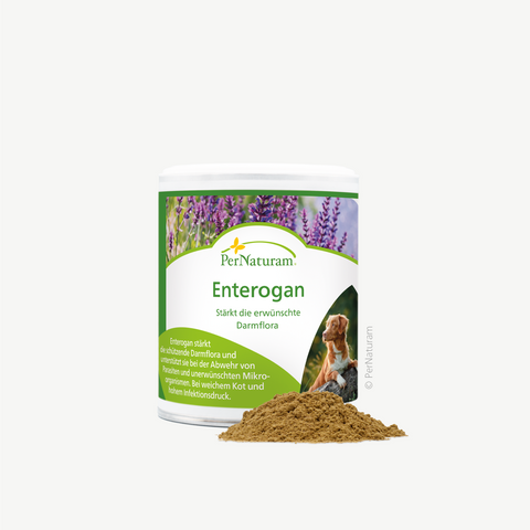Enterogan_100g