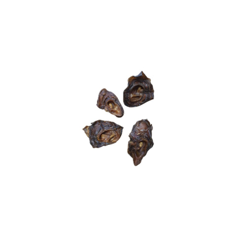 Rinderohrmuscheln